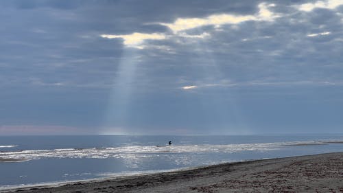 有关中间, 人, 天性的免费素材视频