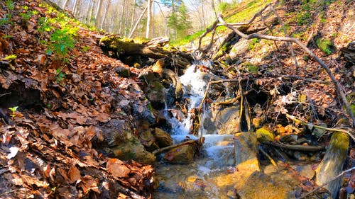 有关天性, 岩石, 户外的免费素材视频