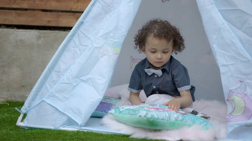 有关Throw Pillows, 可爱, 坐的免费素材视频