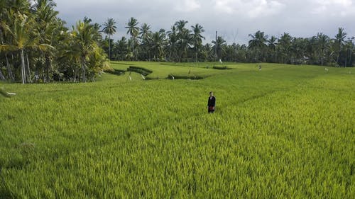 有关人, 户外, 步行的免费素材视频