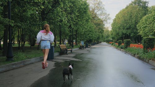 有关伴侣, 公园, 女人的免费素材视频