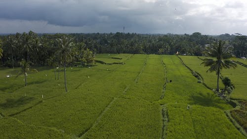 有关人, 多云的天空, 户外的免费素材视频