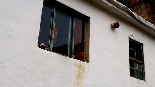 有关年长者, 房屋, 看着的免费素材视频