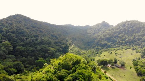 有关天性, 山, 户外的免费素材视频