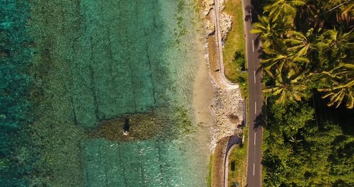 有关天性, 户外, 水的免费素材视频