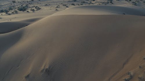 有关乾的, 天性, 户外的免费素材视频