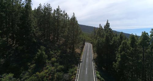 有关天性, 山, 户外的免费素材视频