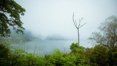 有关厚, 天性, 工厂的免费素材视频