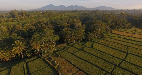 有关天性, 天空, 户外的免费素材视频