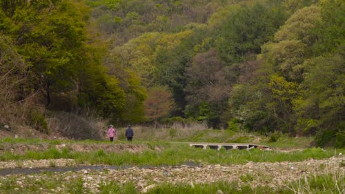 有关丘陵, 天性, 宁静的免费素材视频