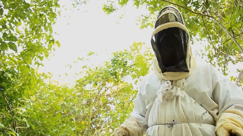 有关养蜂人,养蜂人套装,哥伦比亚的免费素材视频