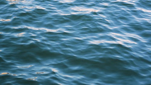 有关俯视图, 天性, 户外的免费素材视频