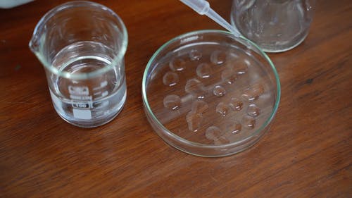 有关培养皿, 实验室玻璃器皿, 液体的免费素材视频