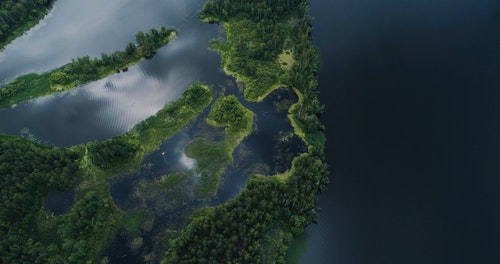 有关俯视图,冷静,天性的免费素材视频