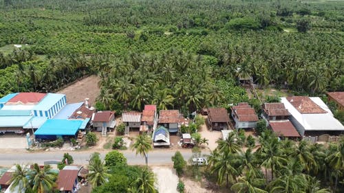 有关户外, 房屋, 椰子树的免费素材视频