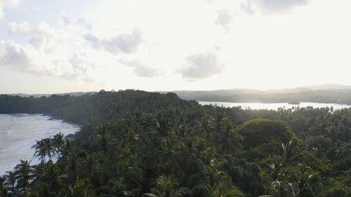有关冷静, 天性, 天空的免费素材视频