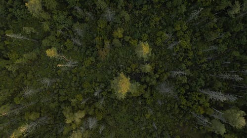 有关慢动作, 户外, 景观的免费素材视频