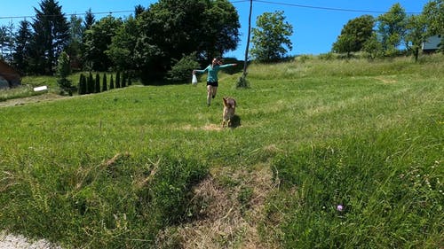 有关伴侣, 塑料袋, 女人的免费素材视频