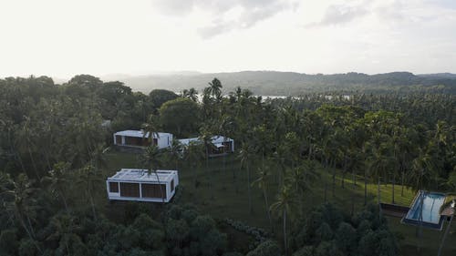 有关冷静, 天性, 天空的免费素材视频