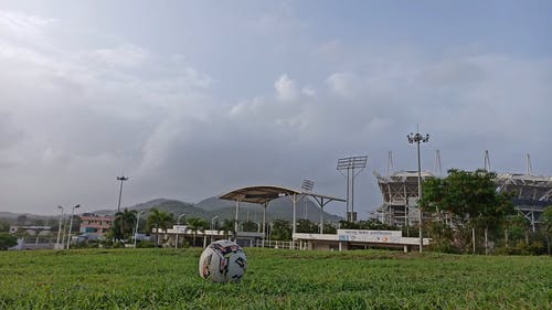 有关天空, 户外, 树的免费素材视频