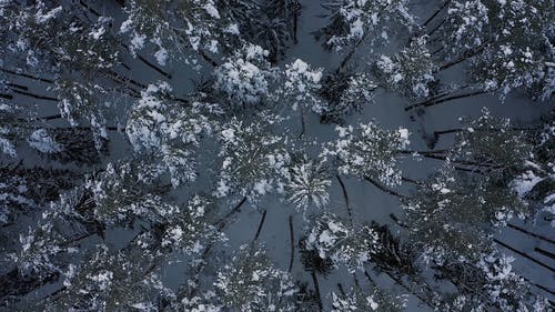 有关下雪的, 俯视图, 冬季的免费素材视频