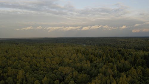 有关包围, 多云的天空, 天性的免费素材视频