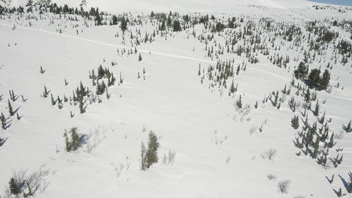 有关冬季,山,松树的免费素材视频