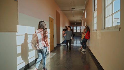 有关不好意思, 人, 多样化的免费素材视频