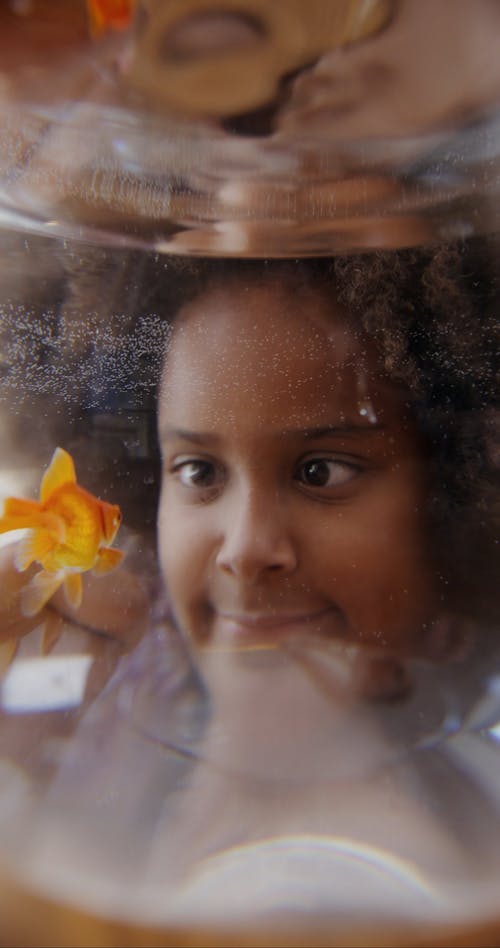 有关动物, 吃惊, 垂直视频的免费素材视频