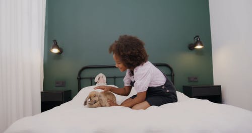 有关儿童, 兔子, 动物的免费素材视频