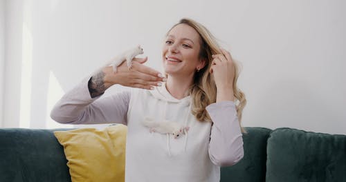 有关动物, 国内, 坐的免费素材视频