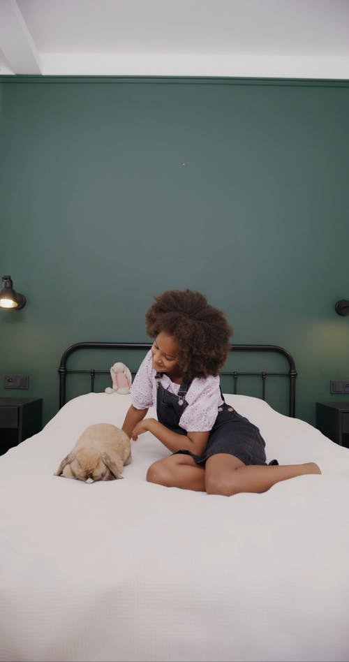 有关兔子, 动物, 哺乳动物的免费素材视频