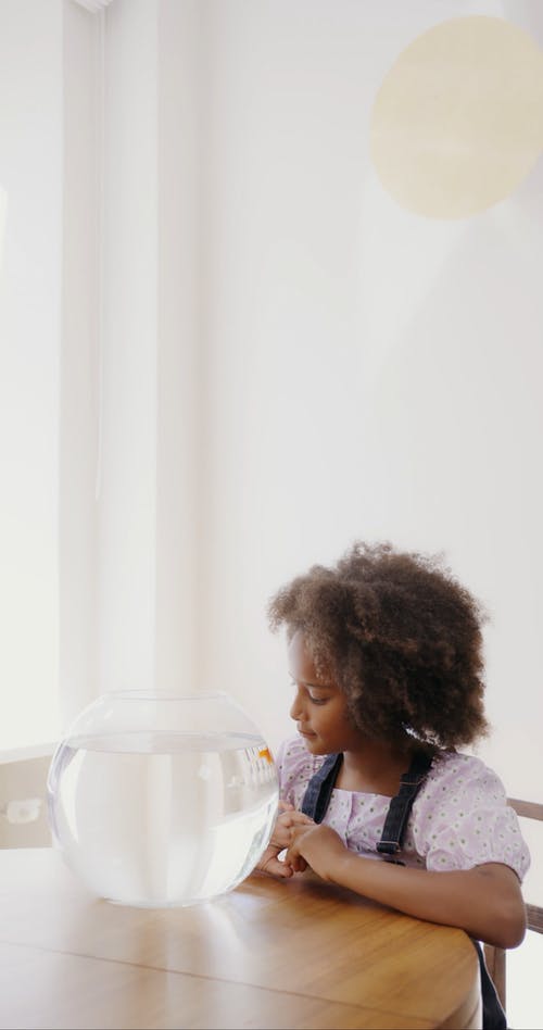 有关动物, 吃惊, 垂直视频的免费素材视频