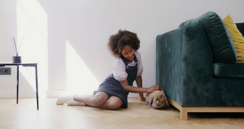 有关兔子, 哺乳动物, 国内的免费素材视频