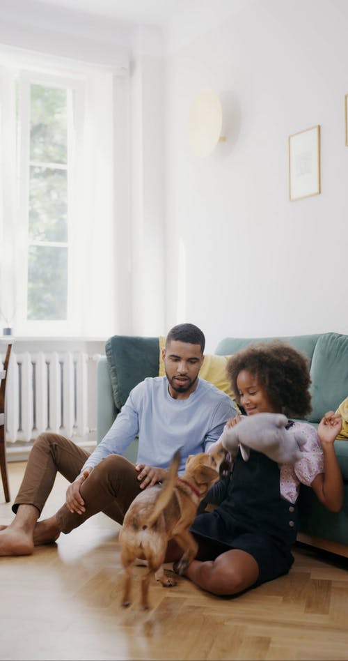 有关兄弟姐妹, 垂直视频, 宠物爱好者的免费素材视频