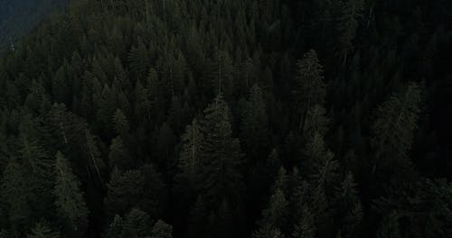 有关天空, 山, 山丘的免费素材视频