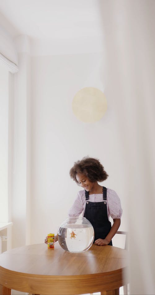 有关哺乳动物, 商业鱼饲料, 国内的免费素材视频