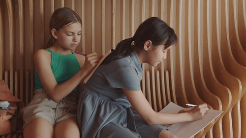 有关一起, 同学, 后背的免费素材视频