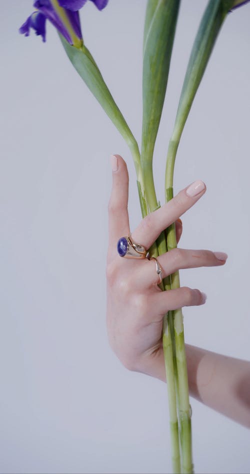 有关味道, 垂直视频, 干的免费素材视频