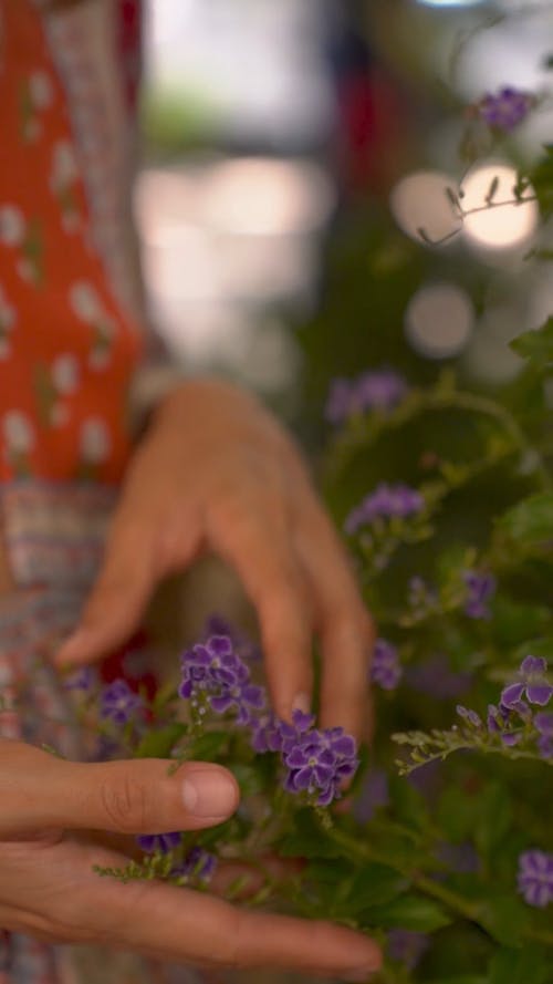 有关垂直视频, 手, 握住的免费素材视频