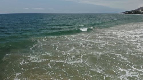 有关天性, 户外, 招手的免费素材视频