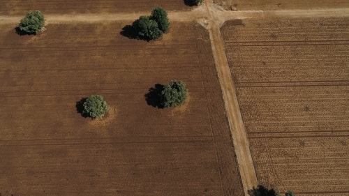 有关天性,性质,景观的免费素材视频