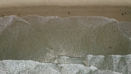 有关天性, 户外, 招手的免费素材视频