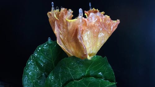 有关冰, 冻结的, 工厂的免费素材视频