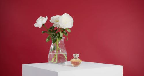 有关玻璃制品, 产品拍摄, 白表的免费素材视频