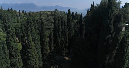 有关居住区, 房子, 树木的免费素材视频