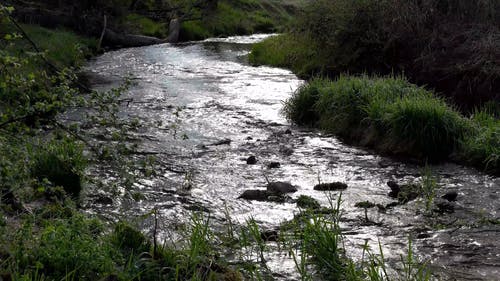 有关天性, 户外, 水的免费素材视频