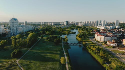 有关公园, 城市, 树木的免费素材视频