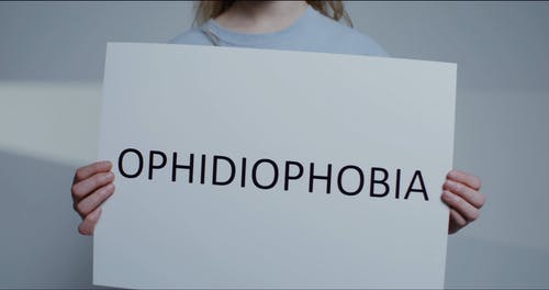 有关不快乐, 个性, 伤心的免费素材视频