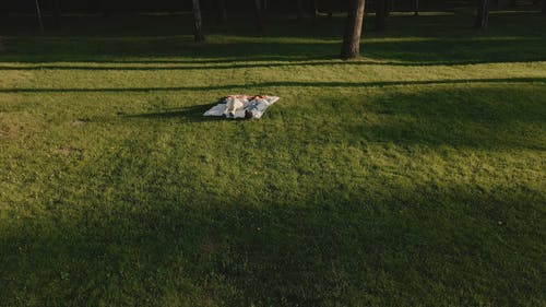 有关lgbt标志, 一对, 同志文化的免费素材视频